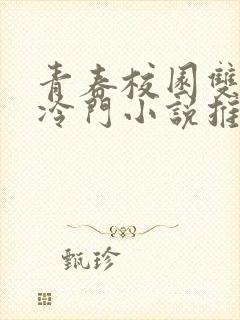 青春校园双男主冷门小说推荐