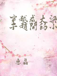 穿越成大梁七皇子赵开的小说