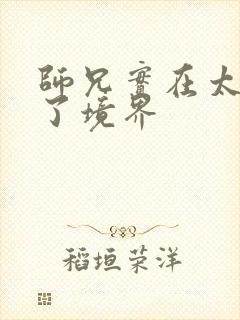 师兄实在太稳健了境界