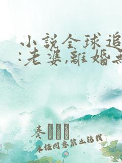 小说全球追妻令:老婆,离婚无效