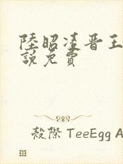 陆昭凌晋王的小说免费