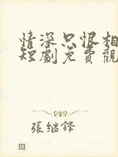 情深只恨相逢晚短剧免费观看