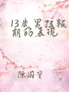 13岁男孩叛逆期的表现