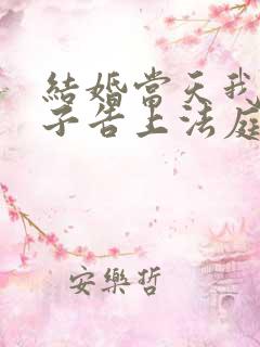 结婚当天我被妻子告上法庭短剧全集