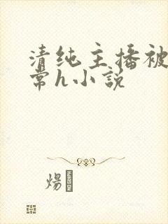 清纯主播被脔日常h小说