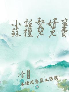 小说赘婿宁毅/苏檀儿免费阅读