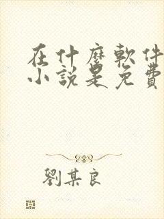 在什么软件上看小说是免费的