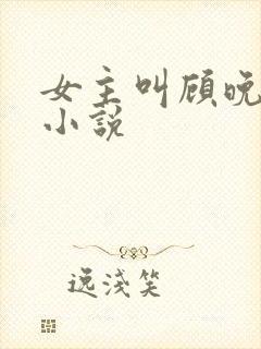 女主叫顾晚晴的小说