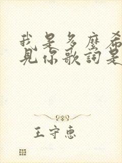 我是多么希望遇见你歌词是哪首歌