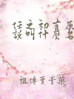 任之初有原著小说叫什么名字