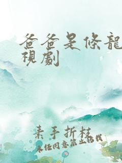 爸爸是条龙 电视剧