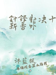 针锋对决十周年新番外