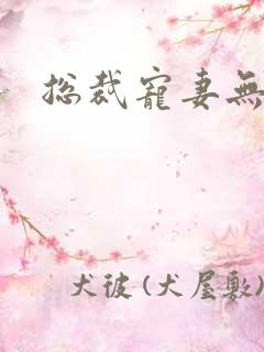 总裁宠妻无度的