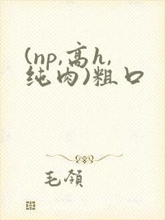 (np,高h,纯肉)粗口