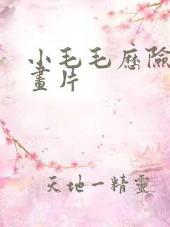 小毛毛历险记动画片