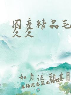 国产精品毛片久久久