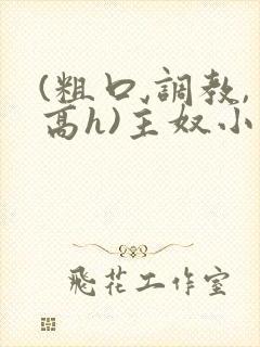 (粗口,调教,高h)主奴小说