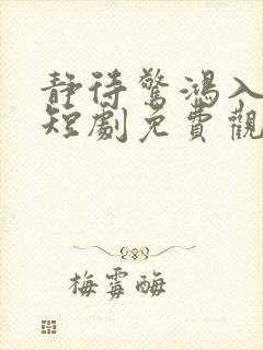 静待惊鸿入翁慌短剧免费观看