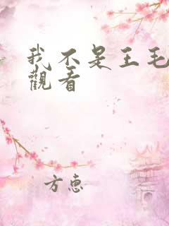 我不是王毛免费观看