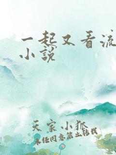 一起又看流星雨小说