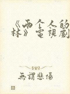 《两个人的小森林》电视剧免费