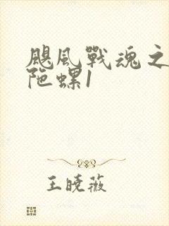 飓风战魂之剑旋陀螺1