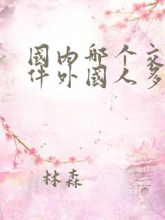 国内哪个交友软件外国人多