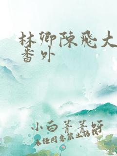 林卿陈飞大结局番外