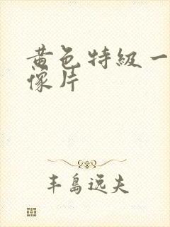 黄色特级一级录像片