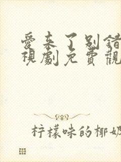 爱来了别错过电视剧免费观看全集