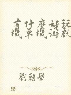 有什么好玩的手机单机游戏吗