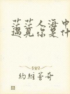 茫茫人海中让我遇见你是什么歌