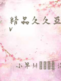 精品久久亚洲av