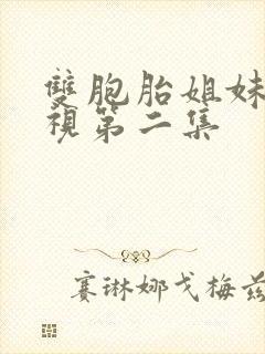 双胞胎姐妹的蔑视第二集