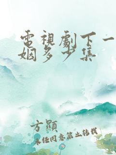 电视剧下一站婚姻多少集