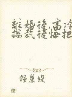 离婚后,高冷女总裁后悔把