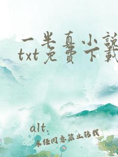 一半真小说全本txt免费下载