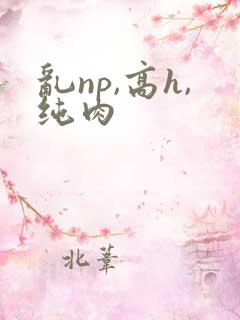 乱np,高h,纯肉
