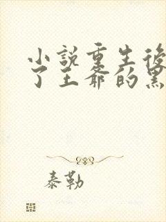 小说重生后我成了王爷的黑月光免费