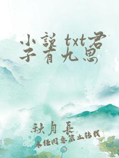 小说 txt君子有九思