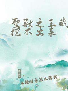 圣兽之王藏宝图挖不出来