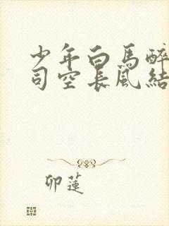 少年白马醉春风司空长风结局