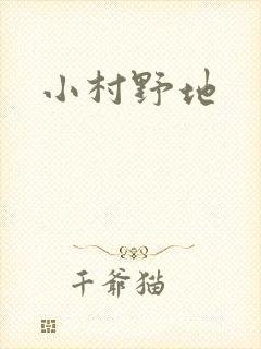 小村野地
