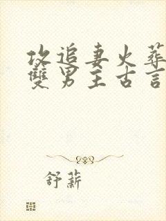 攻追妻火葬场的双男主古言