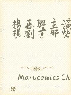 杨再兴主演的电视剧有哪些