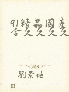 91精品国产综合久久久久久久