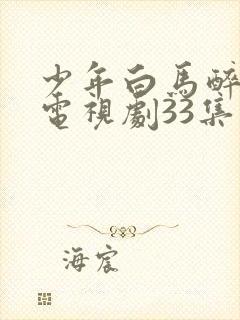 少年白马醉春风电视剧33集