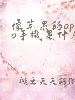 像苹果的oppo手机是什么