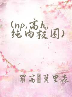 (np,高h,纯肉校园)