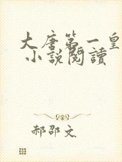 大唐第一皇太子 小说阅读